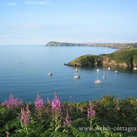 Cwmbrandy Cottage Fishguard Εξωτερικό φωτογραφία