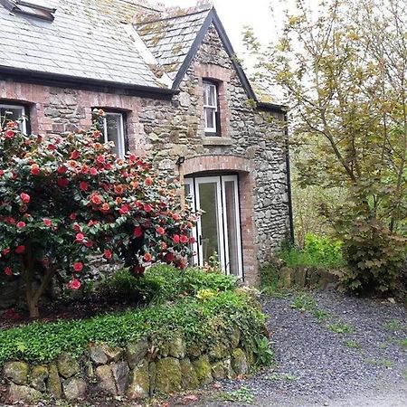 Cwmbrandy Cottage Fishguard Εξωτερικό φωτογραφία