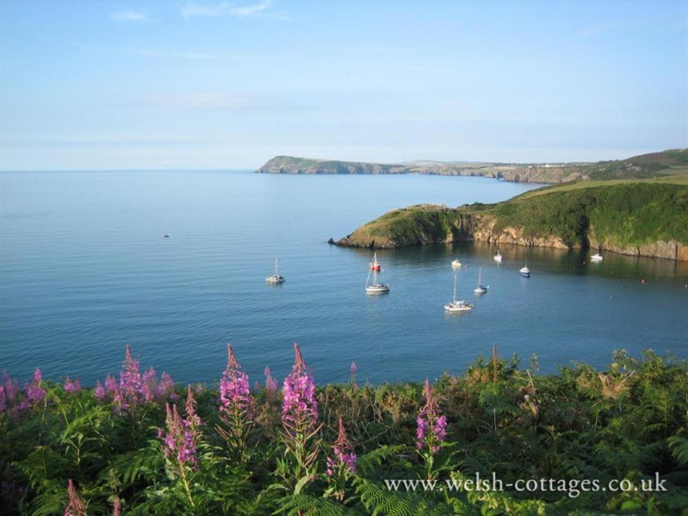 Cwmbrandy Cottage Fishguard Εξωτερικό φωτογραφία