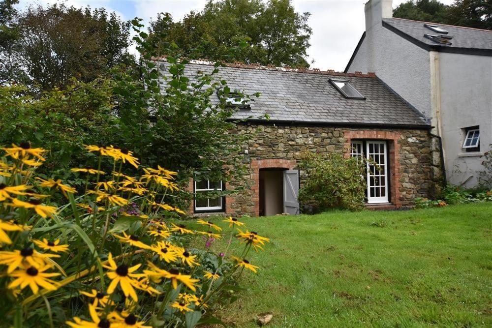 Cwmbrandy Cottage Fishguard Εξωτερικό φωτογραφία