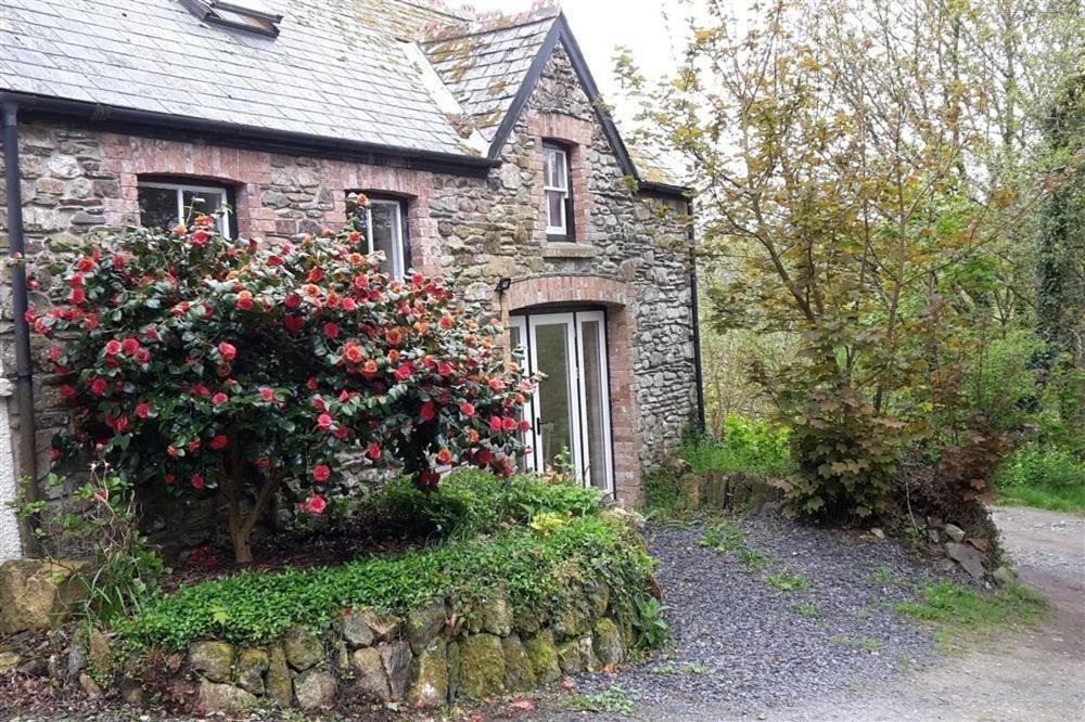 Cwmbrandy Cottage Fishguard Εξωτερικό φωτογραφία