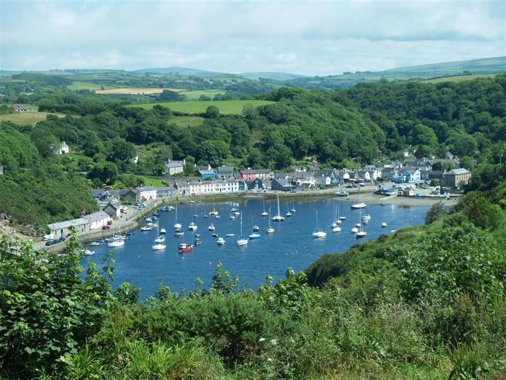 Cwmbrandy Cottage Fishguard Εξωτερικό φωτογραφία
