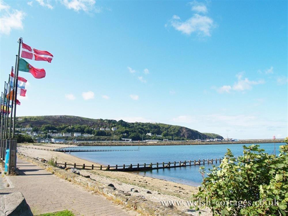 Cwmbrandy Cottage Fishguard Εξωτερικό φωτογραφία